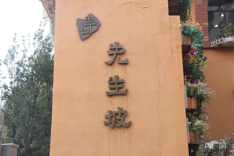 “先生来了·杏好有你”第四届银杏文化艺术节即将启幕(图3)