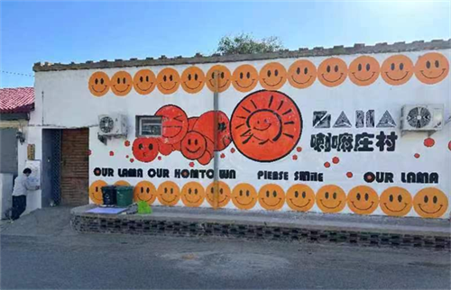宋庄镇庄村：墙绘艺术打造美丽乡村“新名片”(图6)
