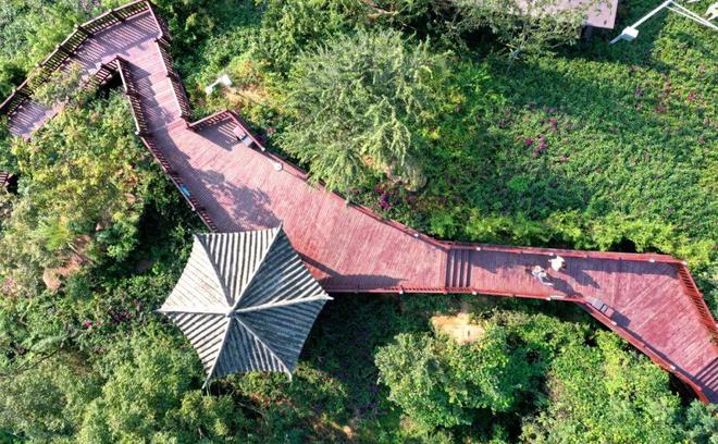 做优做强 六区共兴丨龙泉山城市森林公园片区: 世界级品质的城市绿心加速成型(图10) 做优做强 六区共兴丨龙泉山城市森林公园片区: 世界级品质的城市绿心加速成型(图10)