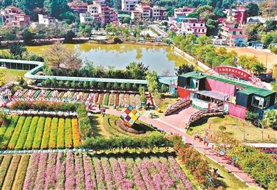 共赴文明之约 绘美丽乡村画卷 走进广州文明村镇见证乡村焕发新气象(图2) 共赴文明之约 绘美丽乡村画卷 走进广州文明村镇见证乡村焕发新气象(图2)
