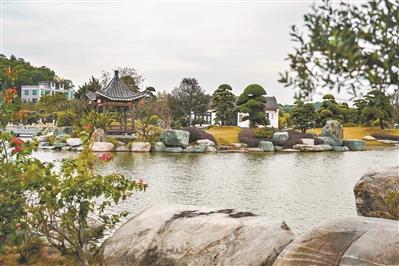 共赴文明之约 绘美丽乡村画卷 走进广州文明村镇见证乡村焕发新气象(图5) 共赴文明之约 绘美丽乡村画卷 走进广州文明村镇见证乡村焕发新气象(图5)