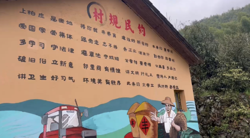 【宜春】奉新县多彩墙绘为乡村振兴“润色添彩”(图3)