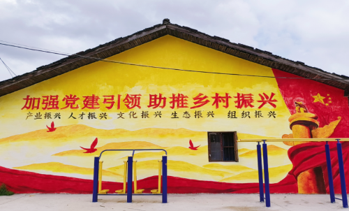【宜春】奉新县多彩墙绘为乡村振兴“润色添彩”(图12)
