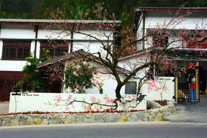 桃花荟·春光好 桃花墙上“开”!龙泉山农家院落美如“画”(图6) 桃花荟·春光好 桃花墙上“开”!龙泉山农家院落美如“画”(图6)