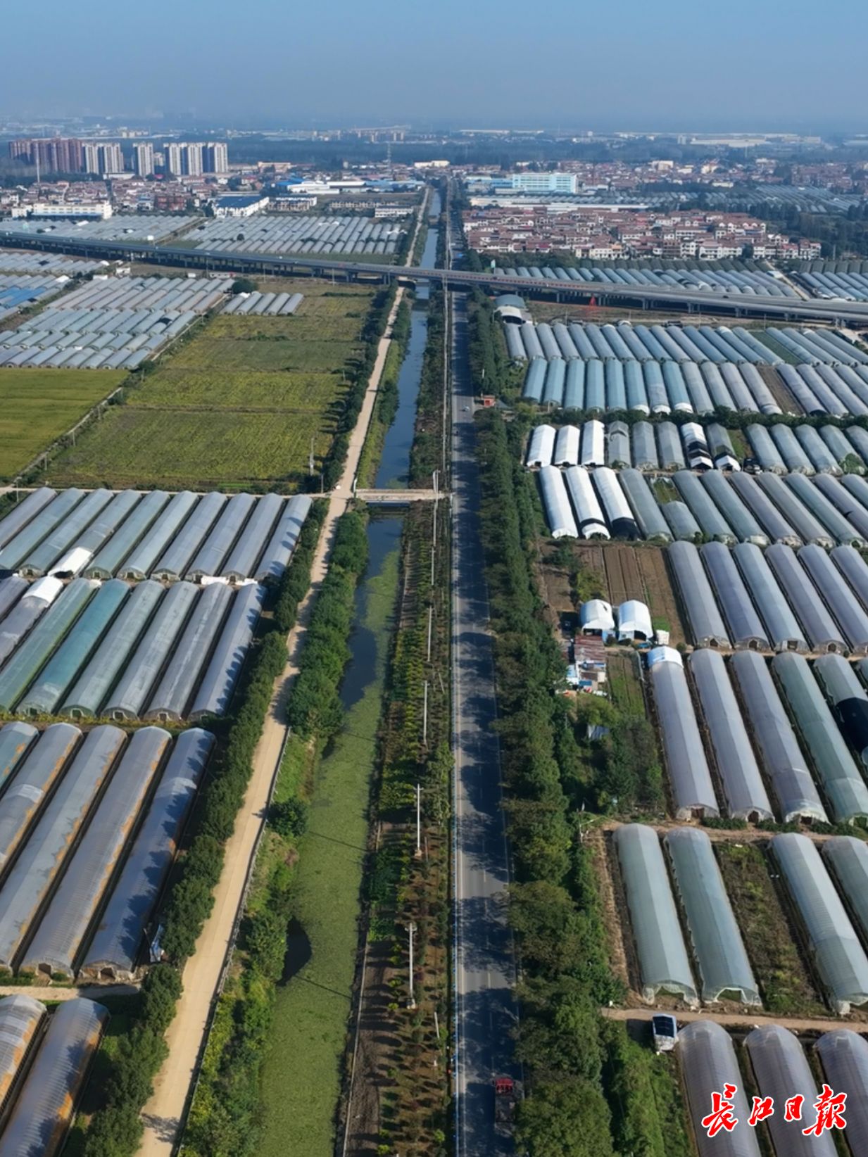 大美春景谁绘就(图7)