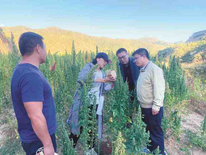 文旅干部书写挂职故事(图3)