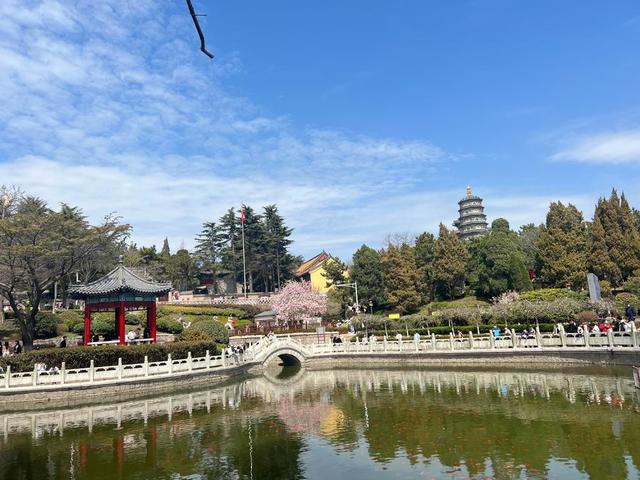 人文青岛墙绘故居藏于小巷中——福山支路彩绘出圈追溯背后的人文踪迹和文化密码(图8) 人文青岛墙绘故居藏于小巷中——福山支路彩绘出圈追溯背后的人文踪迹和文化密码(图8)