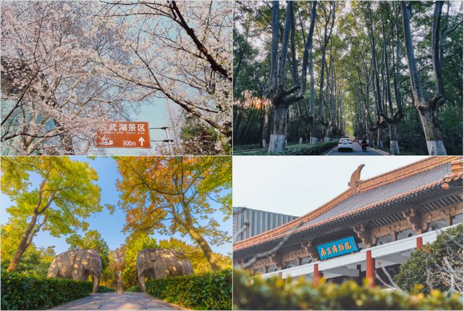 南京文旅“长红”密码:深掘底蕴与焕新双驱动催生跨界合作升级(图5) 南京文旅“长红”密码:深掘底蕴与焕新双驱动催生跨界合作升级(图5)