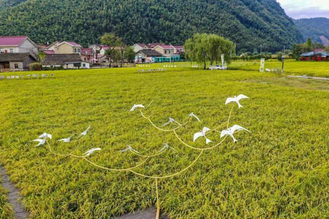 春游江淮｜宁国西村：一个被艺术唤醒的小山村(图2)