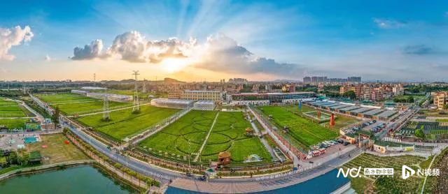 “五一”叹广州！到白云区“乡”遇休闲农趣(图10)