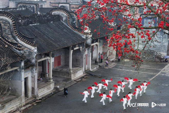 “五一”叹广州！到白云区“乡”遇休闲农趣(图9)