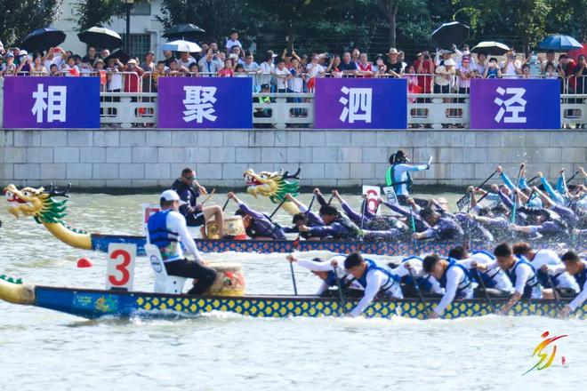 远山如黛、近水含烟、鱼跃鸟飞……泗泾这些街景美不胜收(图2) 远山如黛、近水含烟、鱼跃鸟飞……泗泾这些街景美不胜收(图2)
