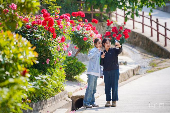 甘肃成县:乡村焕彩韵味新(图4) 甘肃成县:乡村焕彩韵味新(图4)