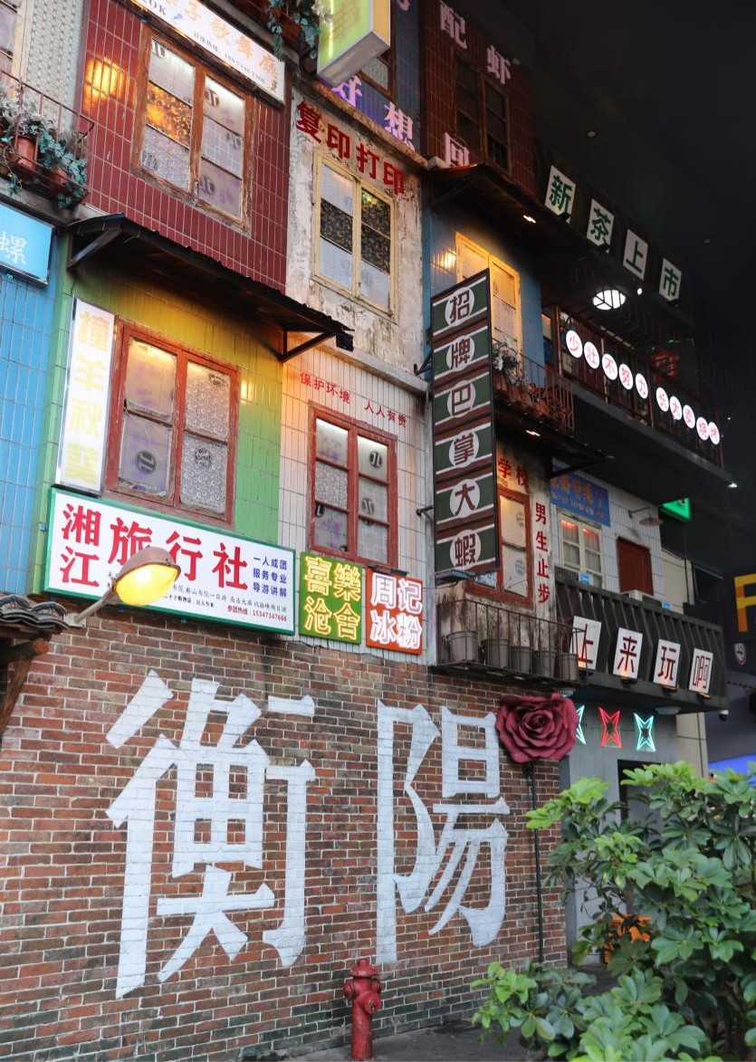 衡阳市蒸湘区:0元打卡拍照胜地南华里(图5) 衡阳市蒸湘区:0元打卡拍照胜地南华里(图5)