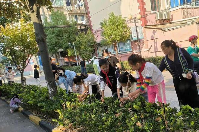 画墙绘、开市集、做路灯……友谊“社区小先生”生活真精彩!(图7) 画墙绘、开市集、做路灯……友谊“社区小先生”生活真精彩!(图7)