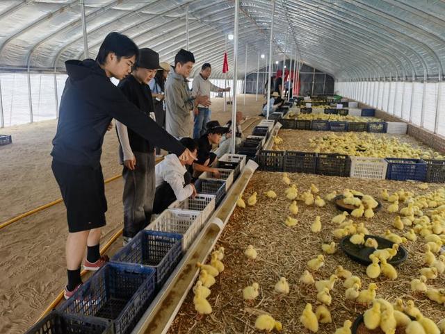凝聚美育力量 共绘乡村新篇 西安美术学院油画系学子赴榆林暑期“三下乡”社会实践(图6)