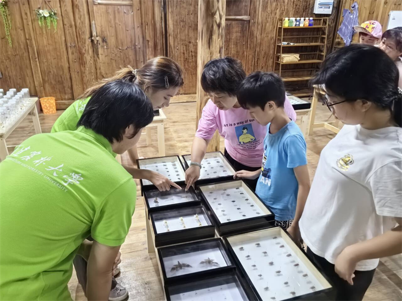 福建高校学子用艺术和知识为乡村添彩(图3) 福建高校学子用艺术和知识为乡村添彩(图3)