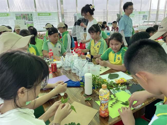 广州科技贸易职院:绿创青春突击队三下乡共绘乡村振兴美好蓝图(图3) 广州科技贸易职院:绿创青春突击队三下乡共绘乡村振兴美好蓝图(图3)