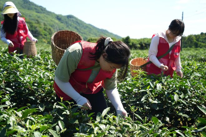 暑期“三下乡”(下) 相约今夏川影人以艺术之力服务乡村(图17) 暑期“三下乡”(下) 相约今夏川影人以艺术之力服务乡村(图17)