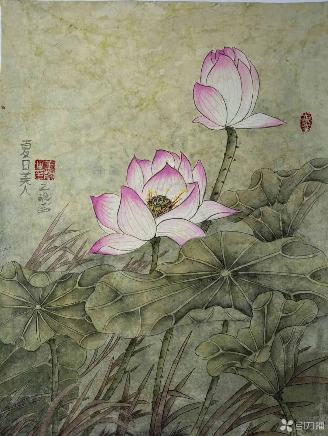 爱上中国画的79岁法国老太在苏州圆了中国梦!(图5) 爱上中国画的79岁法国老太在苏州圆了中国梦!(图5)