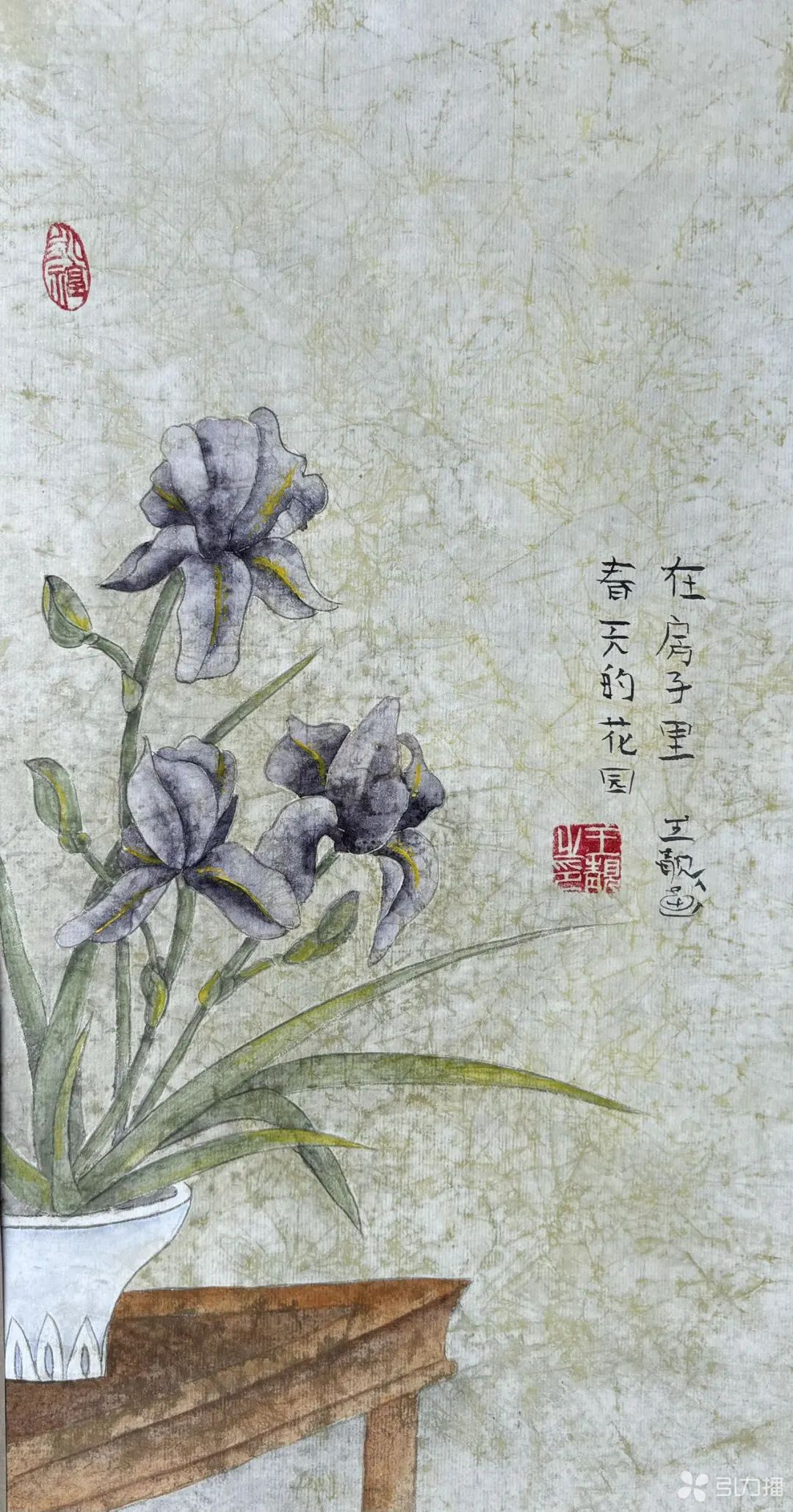 爱上中国画的79岁法国老太在苏州圆了中国梦!(图6) 爱上中国画的79岁法国老太在苏州圆了中国梦!(图6)