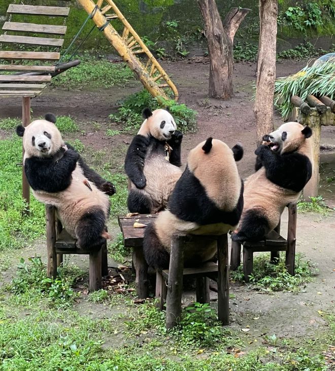 重庆三日游攻略三天两夜重庆旅游攻略精华景点一网打尽！(图4)