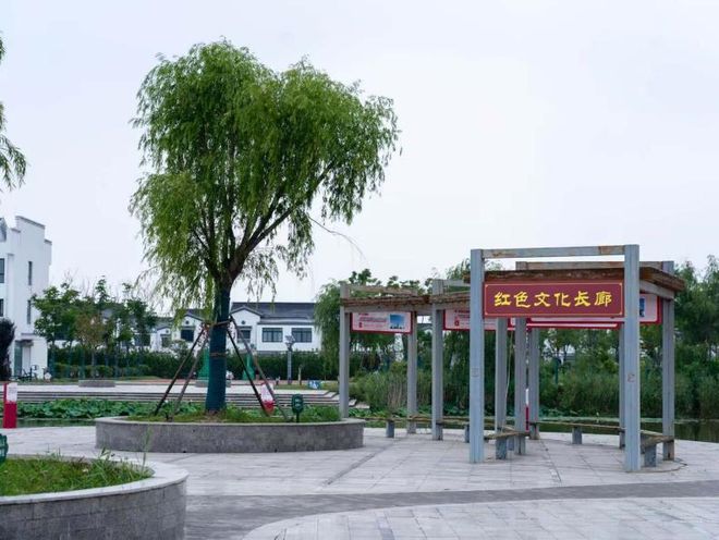 文明落在细微处丨海河镇：一墙一画一风景一隅一绘一文明(图4)