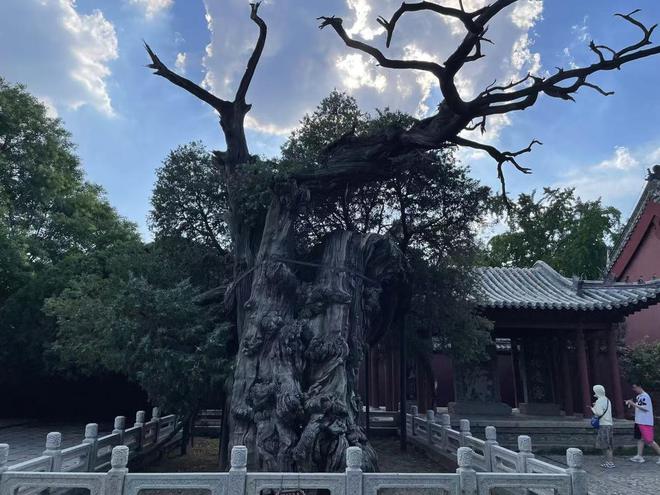 几乎涵盖全部类型山东古建筑“深藏不露”!(图4) 几乎涵盖全部类型山东古建筑“深藏不露”!(图4)
