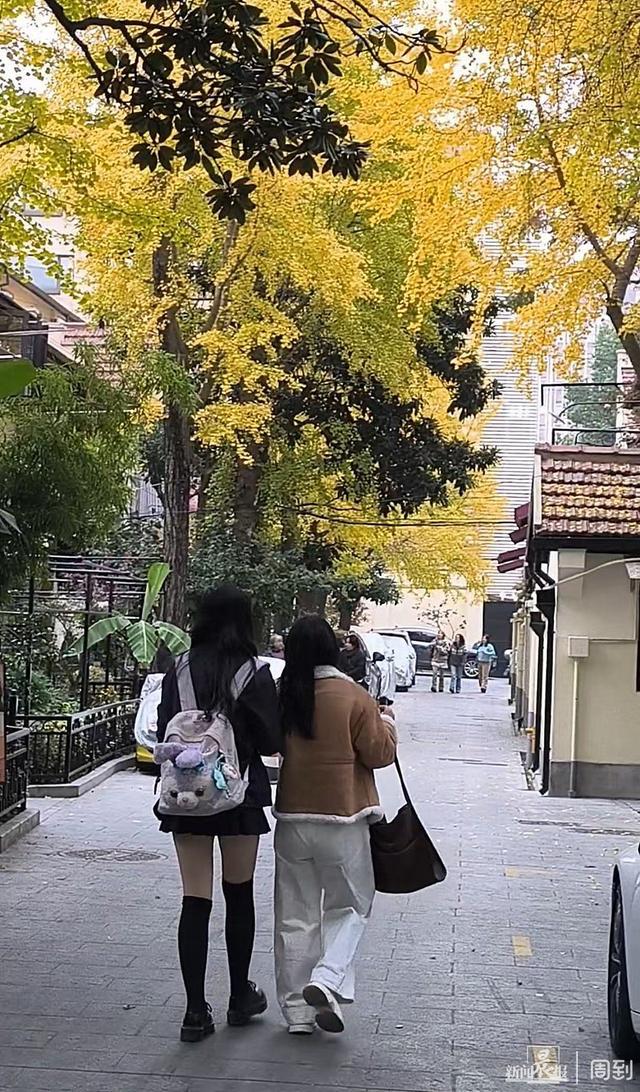 银杏季跟着导览图和长廊“弄堂游”是百岁长乐邨送给citywalk游客的礼物(图9) 银杏季跟着导览图和长廊“弄堂游”是百岁长乐邨送给citywalk游客的礼物(图9)