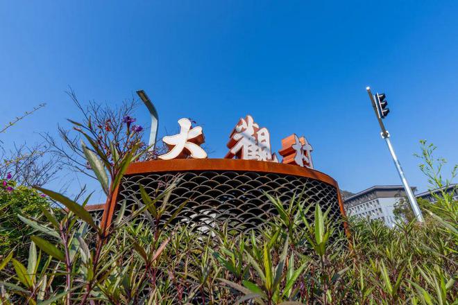 温州又一网红村!现在超火(图8) 温州又一网红村!现在超火(图8)