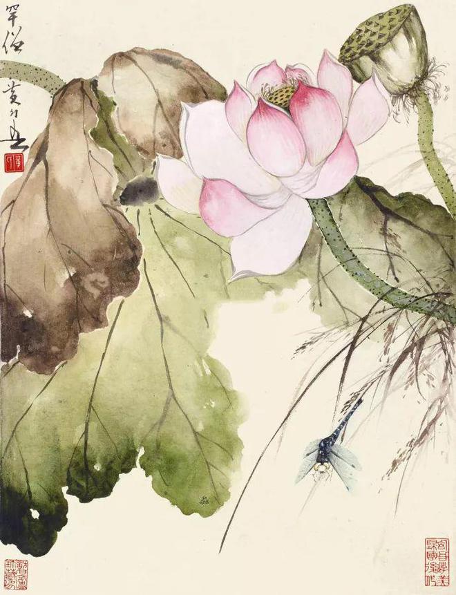 赵少昂的残荷之美(图4) 赵少昂的残荷之美(图4)