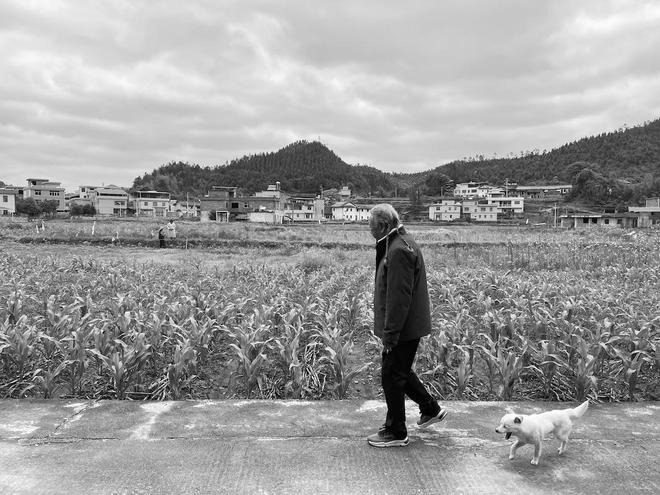 顾村言|石虎印象六题(图4) 顾村言|石虎印象六题(图4)